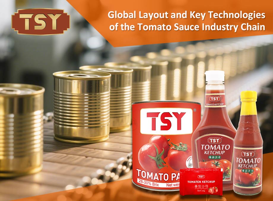 Layout global e tecnologias -chave da cadeia da indústria de molho de tomate