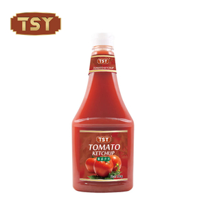 793g Squeeze Bottle Vegetariano Saudável Ketchup de Tomate para Pizza